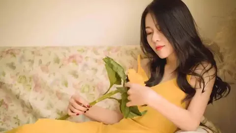 日本代表取消访美