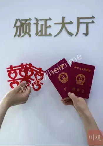 非婚生子生育补贴