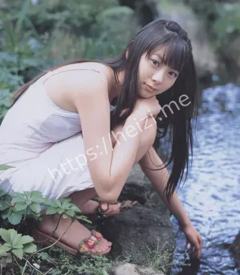 英伟达暂停生产