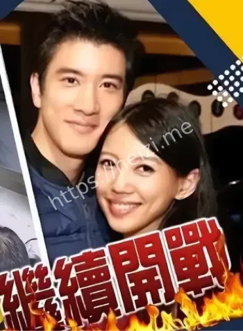 48岁王力宏感情