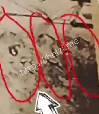 七只妖狐壁画现身温莎大厦