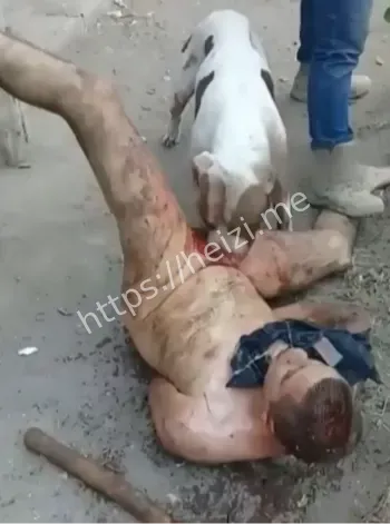 2019年9月暴力视频真伪