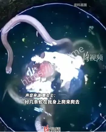 废弃水井隐患排查