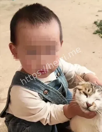 2岁女童死亡真相