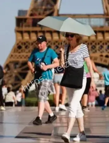 欧洲热浪致死数据对比