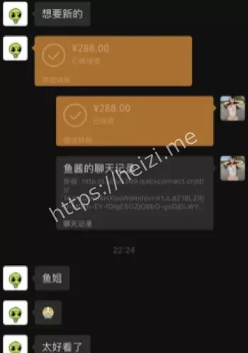 特斯拉车内视频