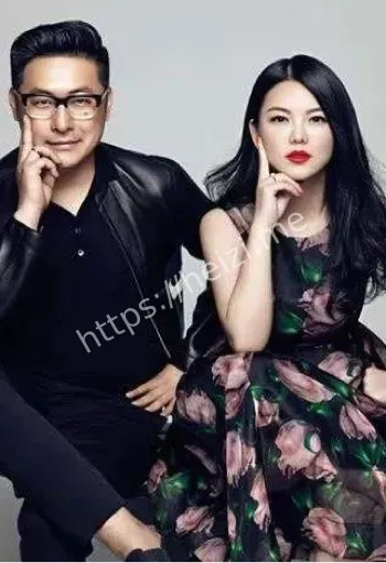 王岳伦婚内出轨