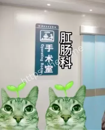 唯一一个不敢插队的科室