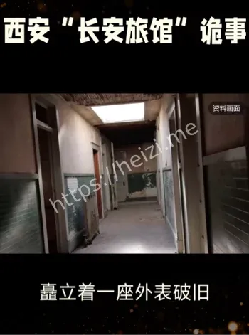 长安旅馆老板娘失踪