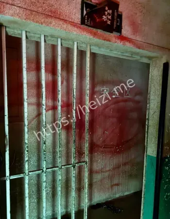 护士目击亡者之影