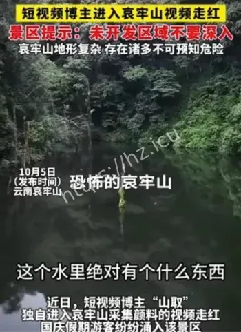 哀牢山搜救过程细节