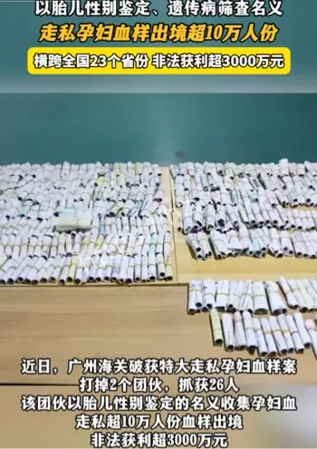 广州海关破获大案