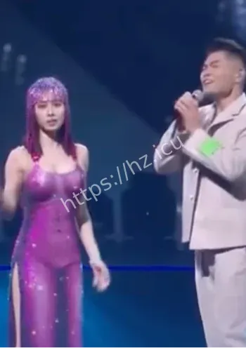 蔡依林演唱会争议