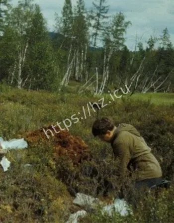 1908通古斯大爆炸