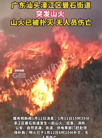 后山山火15小时扑灭
