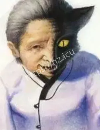 猫脸老太太事件真相