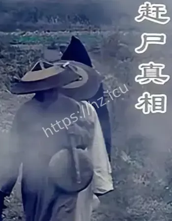 深夜山路铃声响